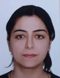 A. Elşen AYDIN